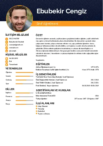 Sınıf Öğretmeni Cv Örnekleri cv indir